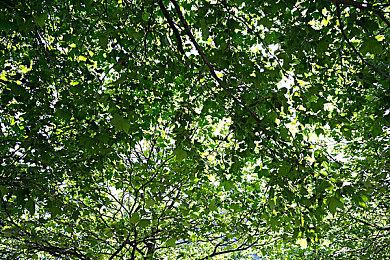 《心灵杀手2》首个DLC发售日宣传片 6月8日上线